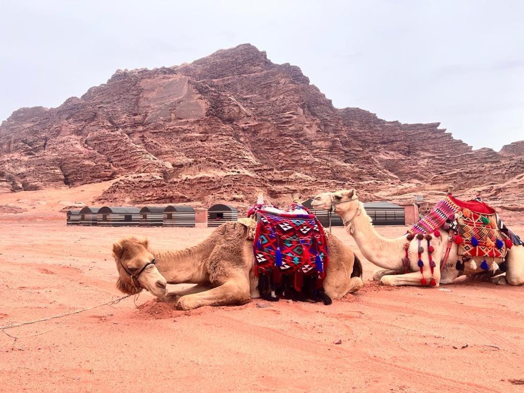 Wadi Rum Sky Tours & Camp Εξωτερικό φωτογραφία